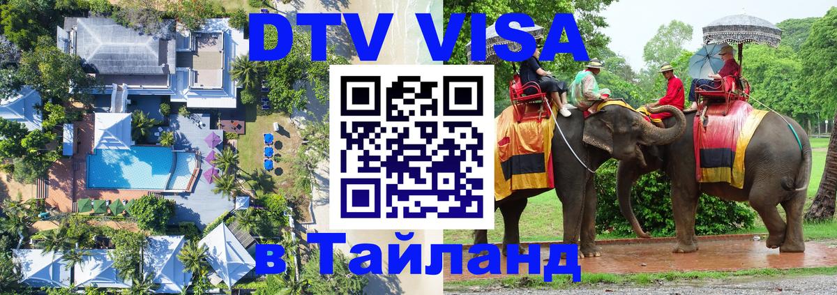 Оформление DTV визы под ключ: стоимость и тарифы, только загранпаспорт - 21.11.2025 